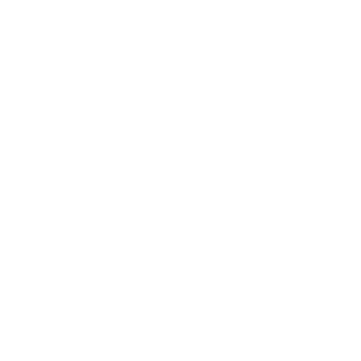 SFS Pest Control values