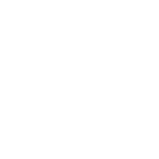 SFS Pest Control vision